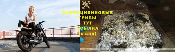 крисы Саяногорск