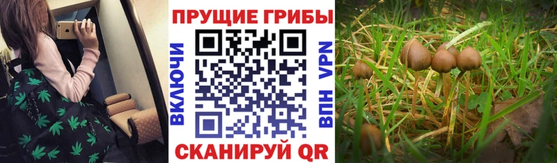 Псилоцибиновые грибы Magic Shrooms  Иннополис 